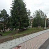 Rauch Miroslav,Ing. - samostatně hospodařící