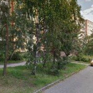 obrazek: avatar Paleček Jan