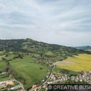 obrazek: avatar Seitz Jan - RESTAURANT GLORIA