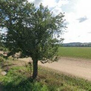 obrazek: avatar Toman Václav