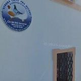 Čechura Jaroslav - fa TOLAR & ČECHURA