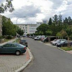 obrazek: avatar Šeflerová Jaroslava