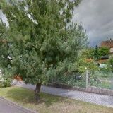 Karlík Jiří - CALLUNA