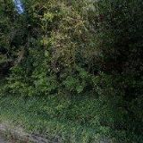 Štěpánek Jiří - TRUHLÁŘSTVÍ