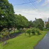 Goldscheiderová Ludmila