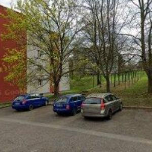 obrazek: avatar Král Ludvík
