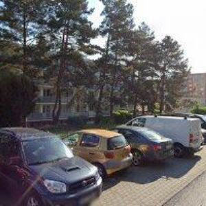 obrazek: avatar Zaspalová Milada - účetnictví