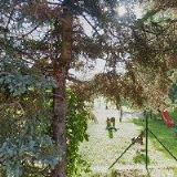 Svojanovská Miroslava