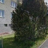 Roháčová Stanislava