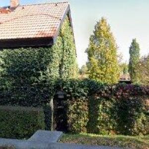 obrazek: avatar INTERLUX Tomáš Bursa