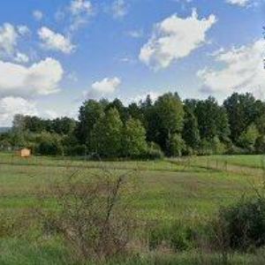 obrazek: avatar Píša Vladimír