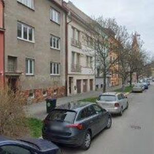 obrazek: avatar Zahradníková Anna