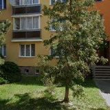 Kydlíčková Barbara