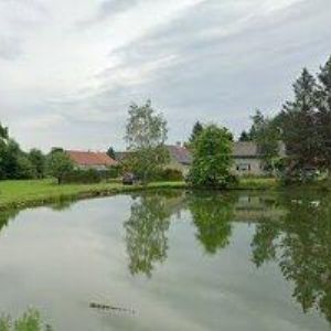 obrazek: avatar Město Bor