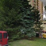 SKI klub policie Plzeň