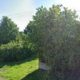 Smazalová, spol. s r.o.