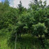 TOR SMĚNÁR.ČINN,UBYTOV.V SOUKROMÍ