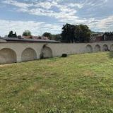 Fišer Michael - FOTO