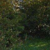 Hromádka Karel - AUTODOPRAVA A ZEMNÍ PRÁCE