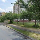 Solarová Květoslava