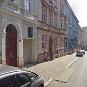 obrazek: avatar Nováčková Michaela