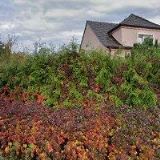 Krisman Václav - Klempířské práce