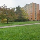 Hauer Vladimír - HPPH PLZEŇ