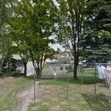 Svatošová Elzbieta