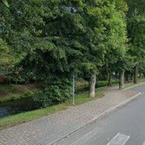 obrazek: avatar Polívková Jana