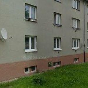 obrazek: avatar Reitspiesová Jana