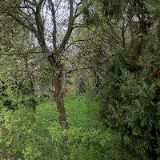 Maron Milan - M a M SERVIS TRANSPORT