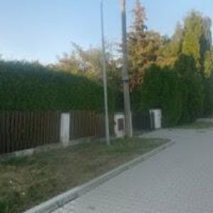 obrazek: avatar Šlajerová Aneta