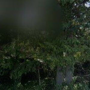 obrazek: avatar Cajthaml Antonín - soukromý zemědělec