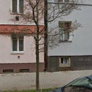 obrazek: avatar Lišková Hana