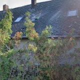 Fremund Václav,Ing. - F Consult