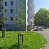 Janouškovec Vlastimil,Ing.