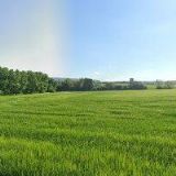 M.A.H.SCH.Tex, spol. s r.o.