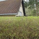 Plášilová Bohumila - zprostředkovatel pojištění