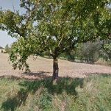 Cvach Vladimír - rolník