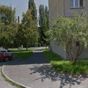 obrazek: avatar Valdmanová Dagmar