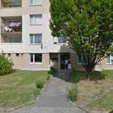 Horčička František