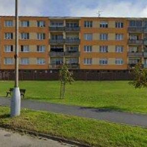 obrazek: avatar Porvichová Jana