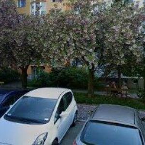 obrazek: avatar Janda Jindřich