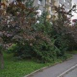 SDRUTES,s.r.o  Hanzal Jiří