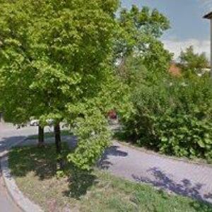 obrazek: avatar Šuster Jiří