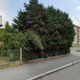 Poslední Karel - KAPO