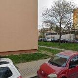 Vacovský Roman - OKRASNÉ DŘEVINY