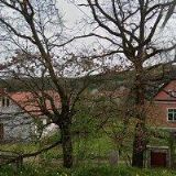 Procházka Vítězslav