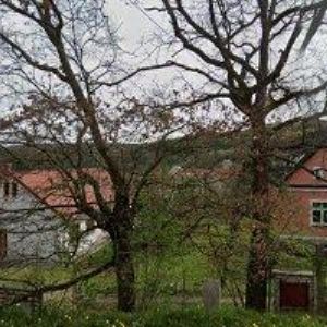 obrazek: avatar Procházka Vítězslav