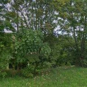 obrazek: avatar Územní vojenská správa - Domažlice